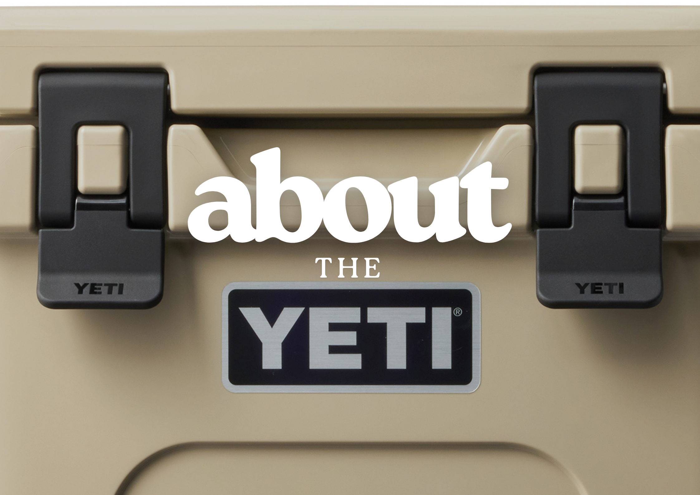 YETI 始まりました。