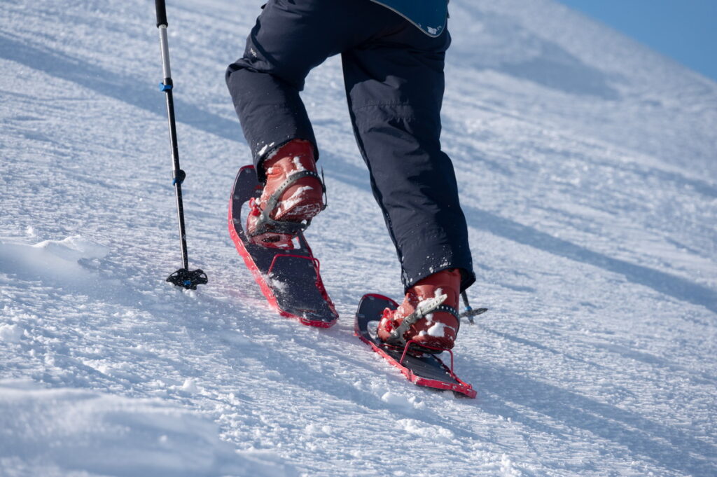 スノーシューの選び方