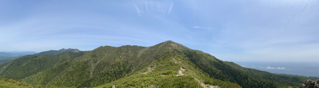 花の百名山『アポイ岳』へ登ってきました🌸