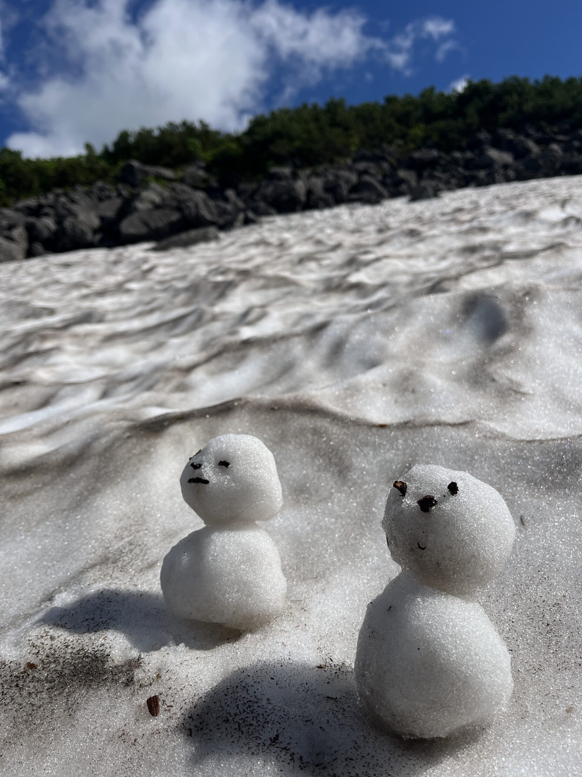 雨ニモ負ケズ道北ノ山旅　其ノ弐：オプタテシケ山縦走①
