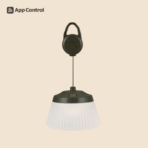 CARGO CONTAINER REEL LIGHT PRO